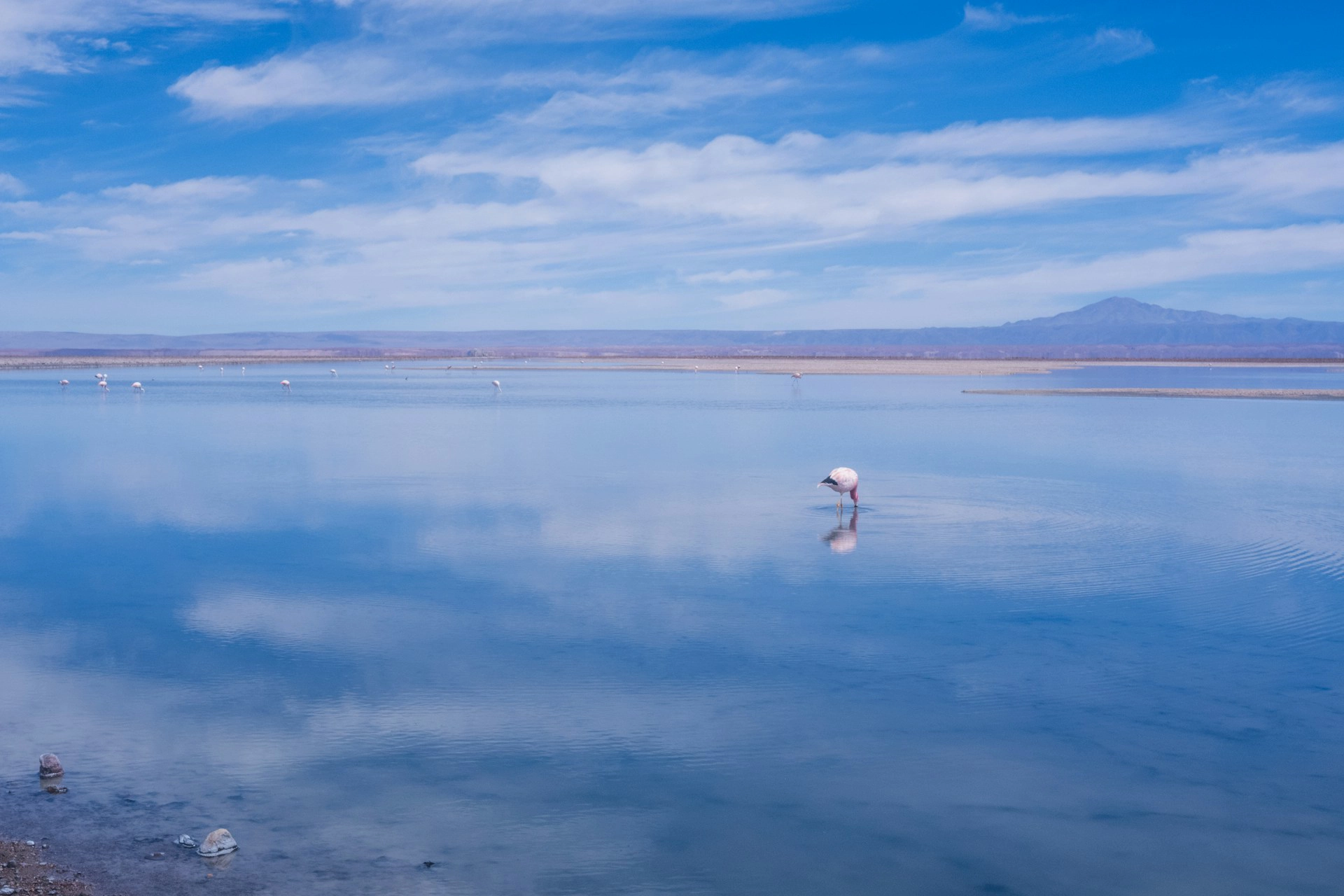 Experiencia clásica en Santiago y Atacama