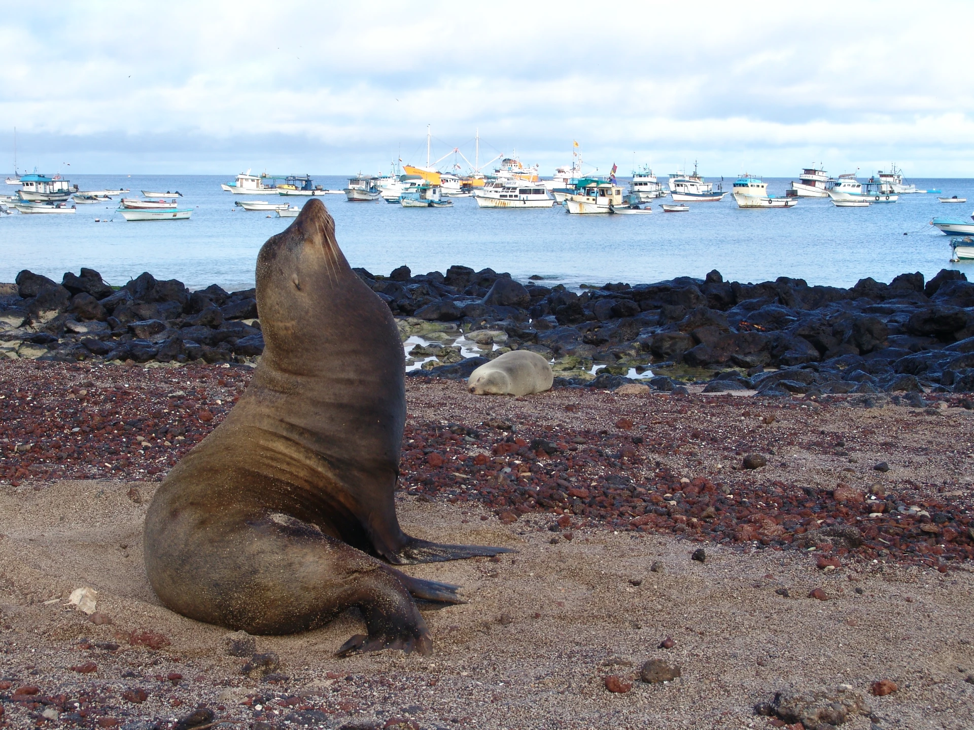 Galápagos Island Hopping 10D/9N