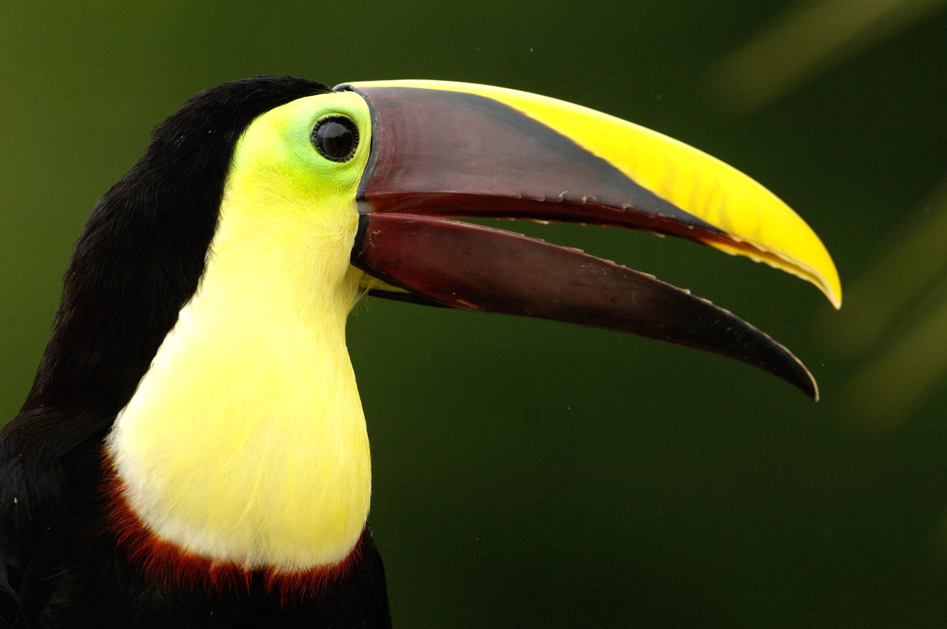 Ganz Ecuador 14 Tage