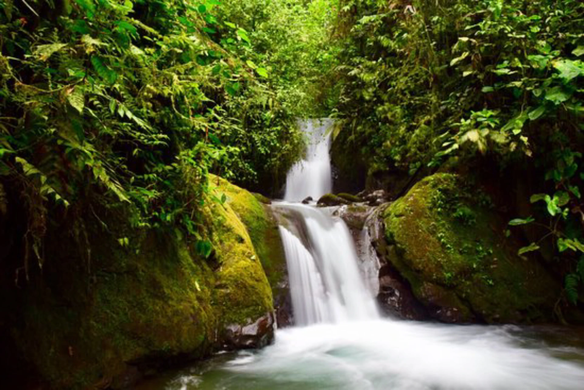 Mindo waterfall complex