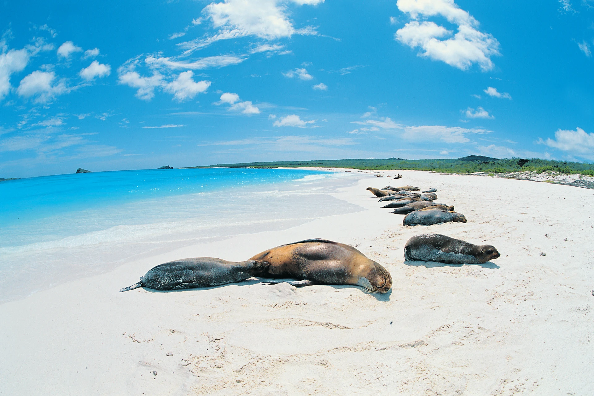 M/C Endemic - Itinerary D 4 Days / 3 Nights