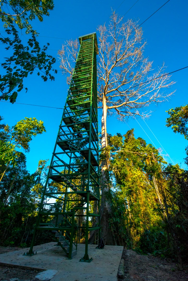 Observation tower (36 m) in the primary forest