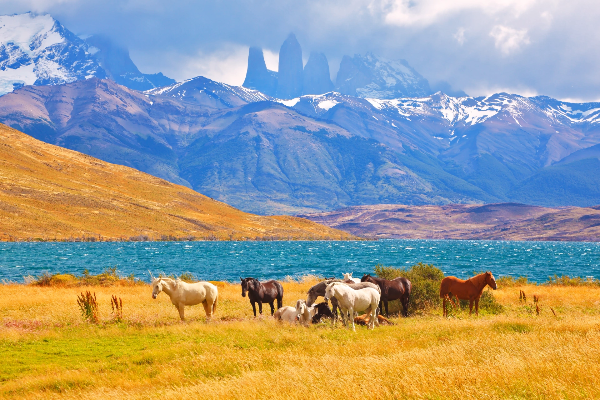 Torres del Paine 3-tägigen Trekkingtour
