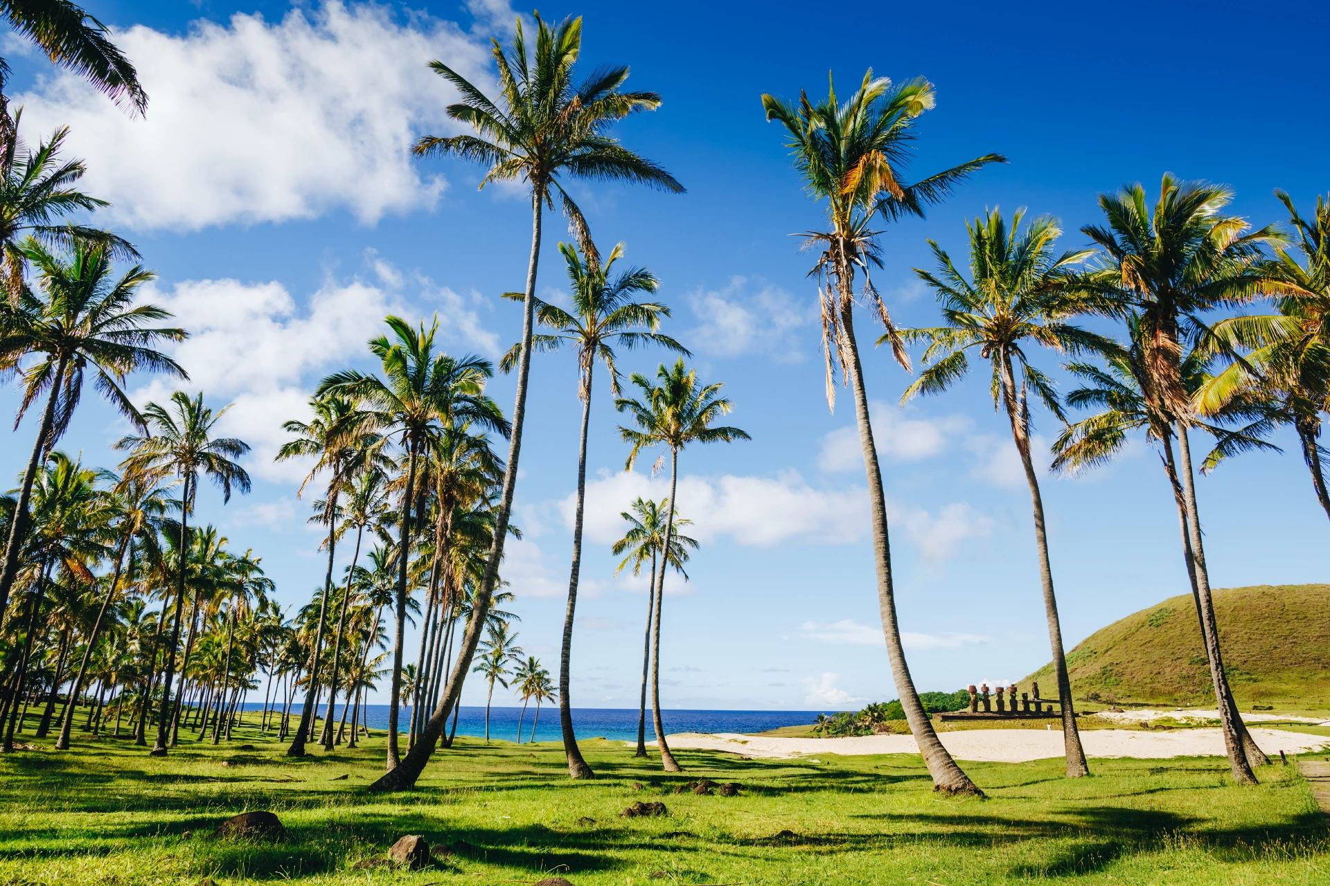 Anakena Beach
