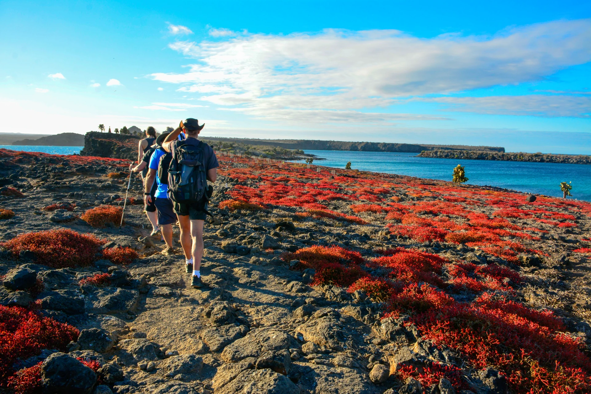 Aventura en las Galápagos