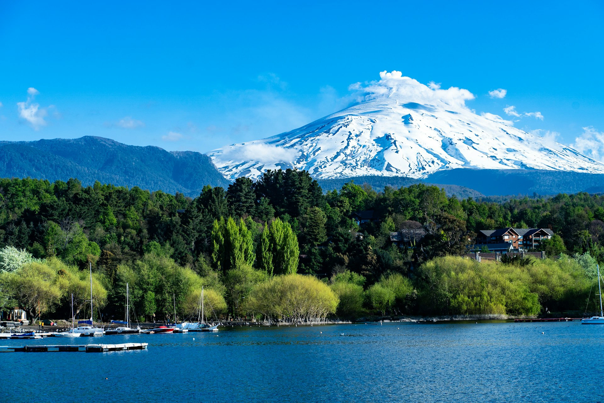 Pucón y Parque Nacional Conguillío