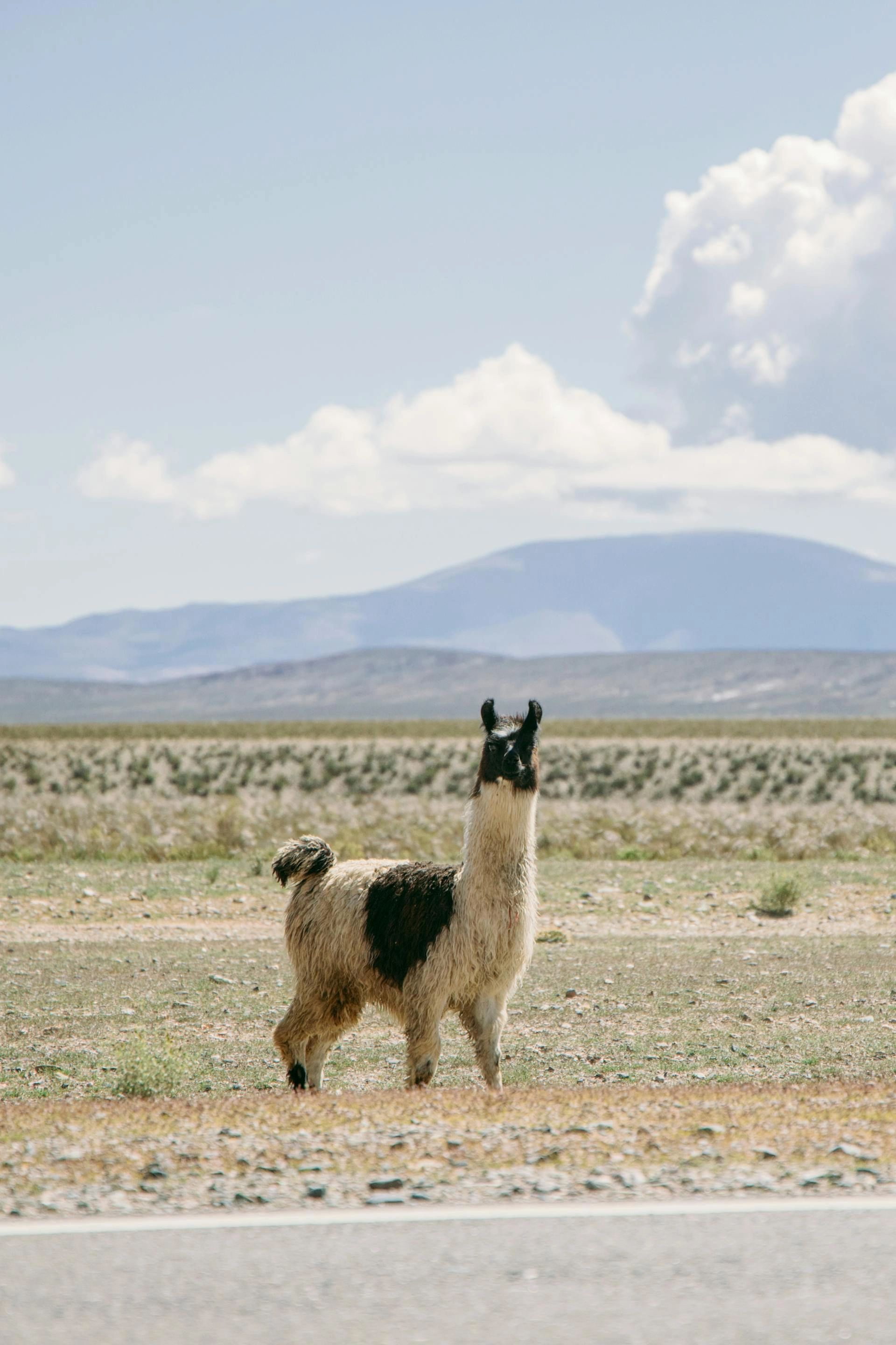 San Pedro de Atacama