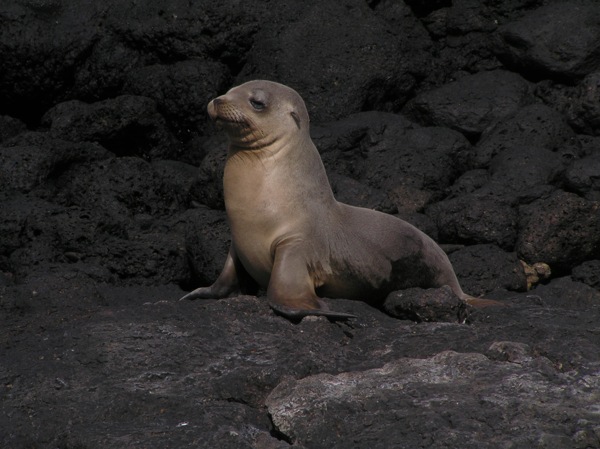 Galapagos Island Hopping 8D/7N