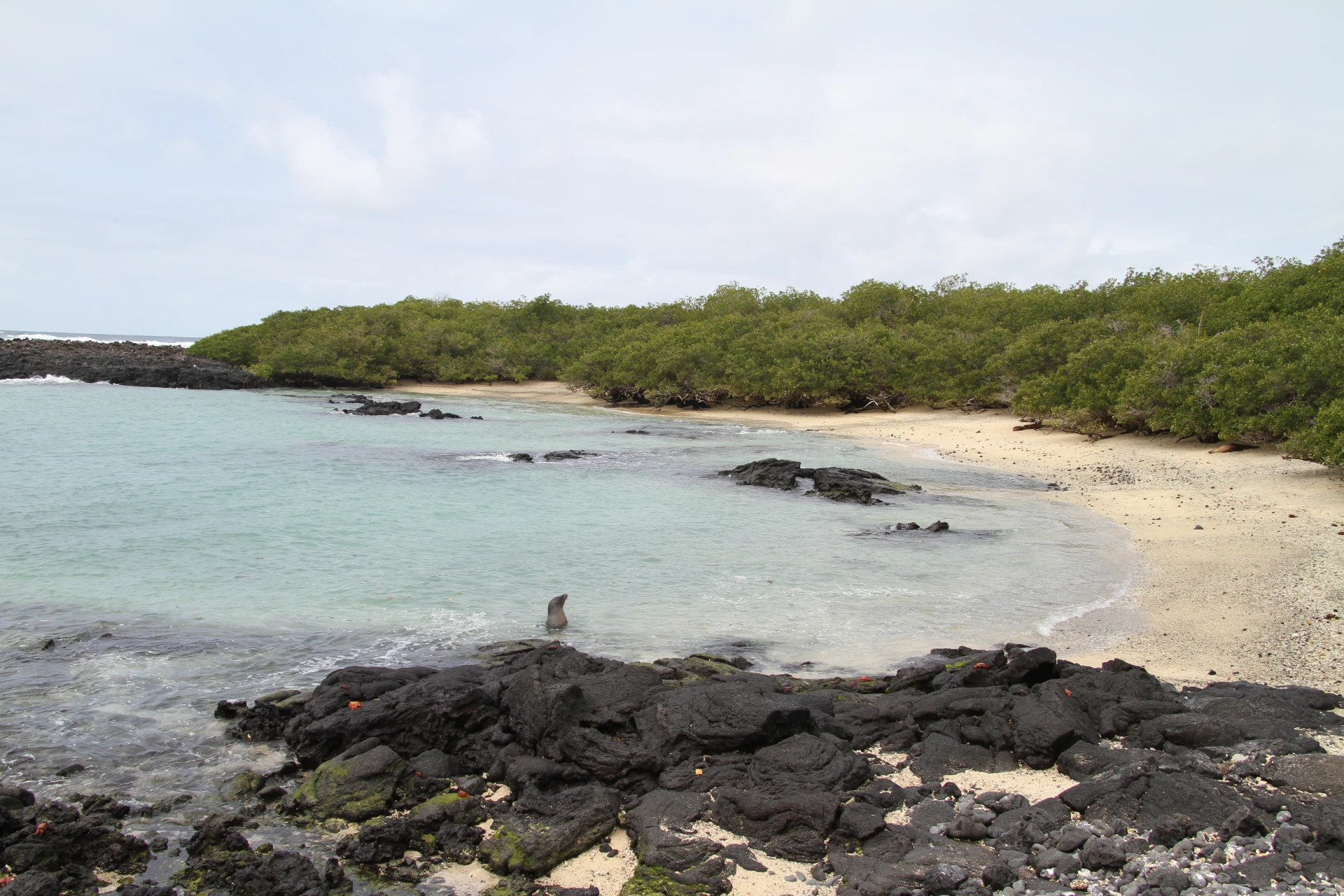 SINGLE GAY MEN GROUP TOUR ECUADOR AND GALAPAGOS ISLANDS - Ecuador