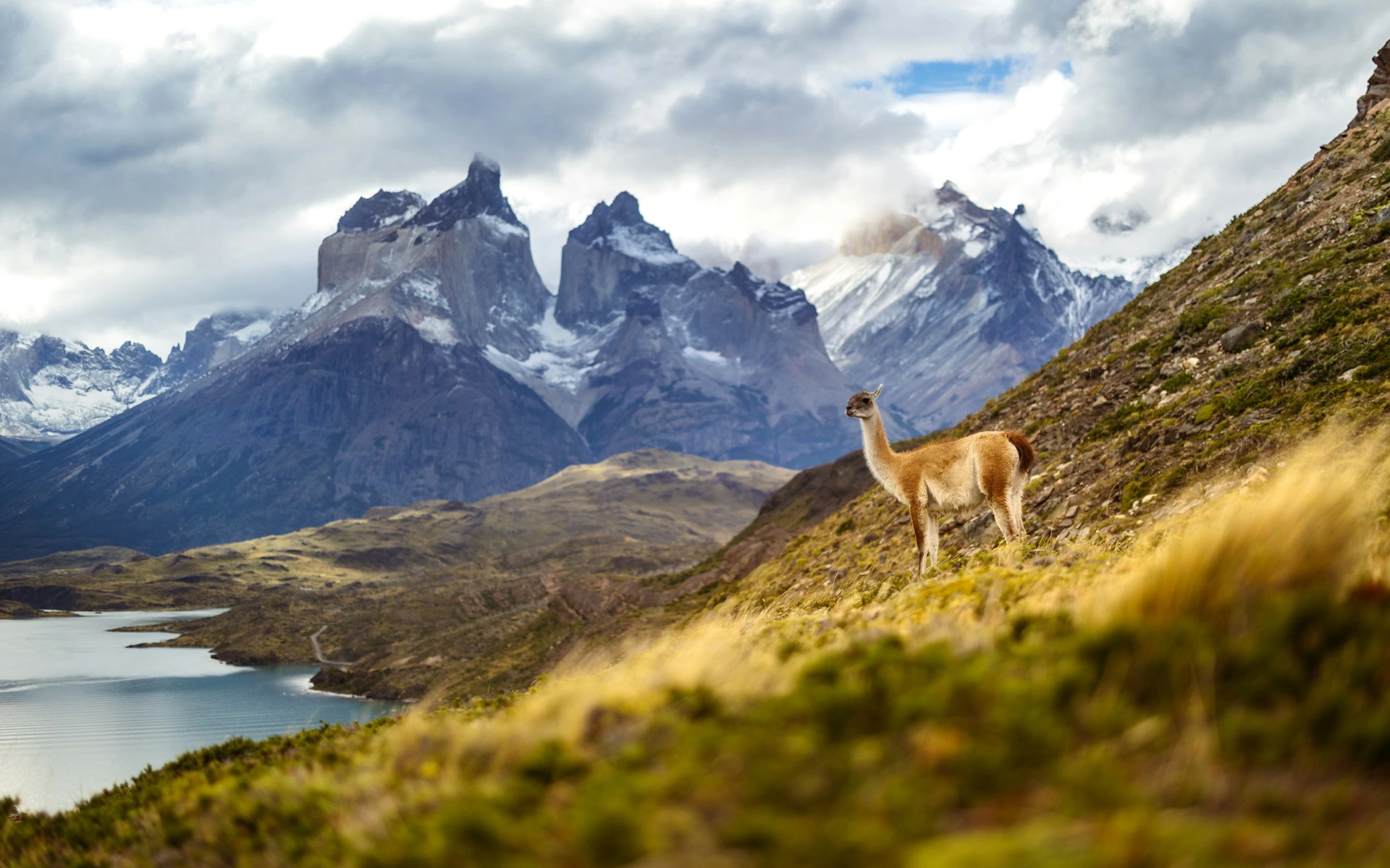 Clásico de la Patagonia