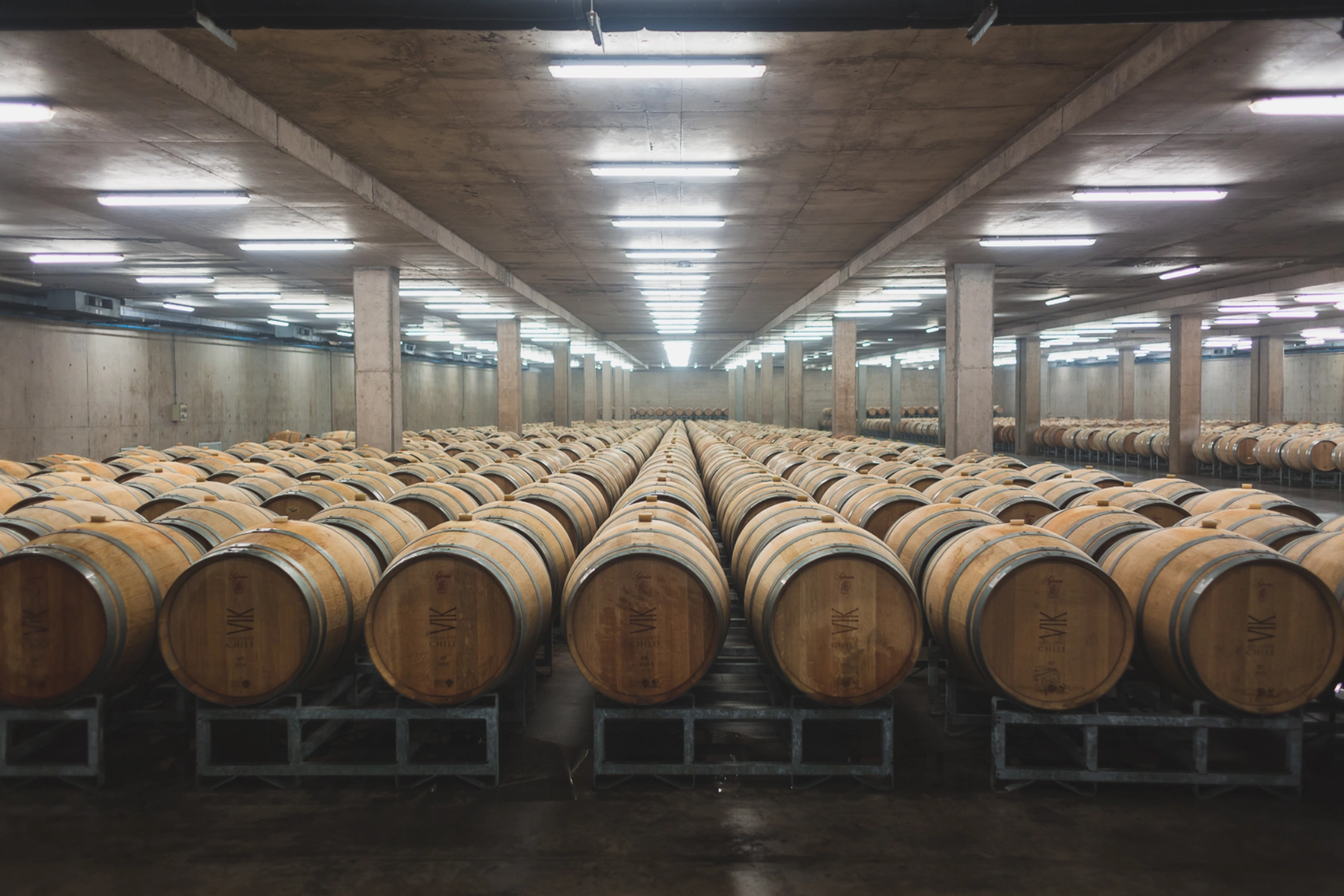 Chile Wine Tour 8 Days with Casablanca and Colchagua