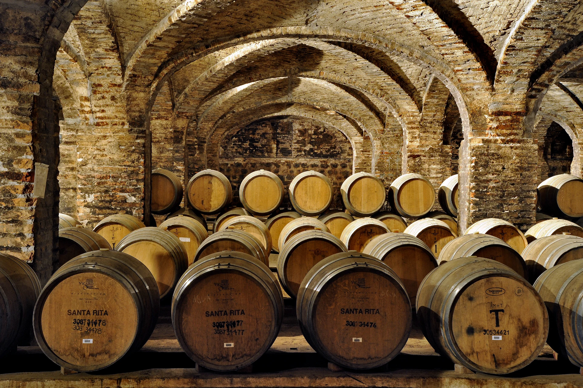 Viña Santa Rita Winery
