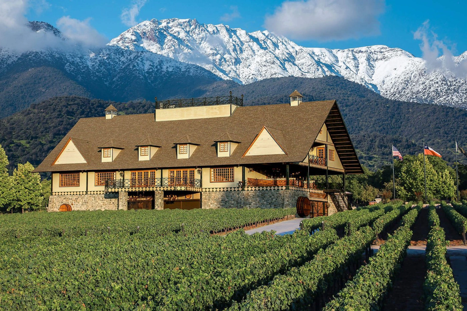 Undurraga Vineyard