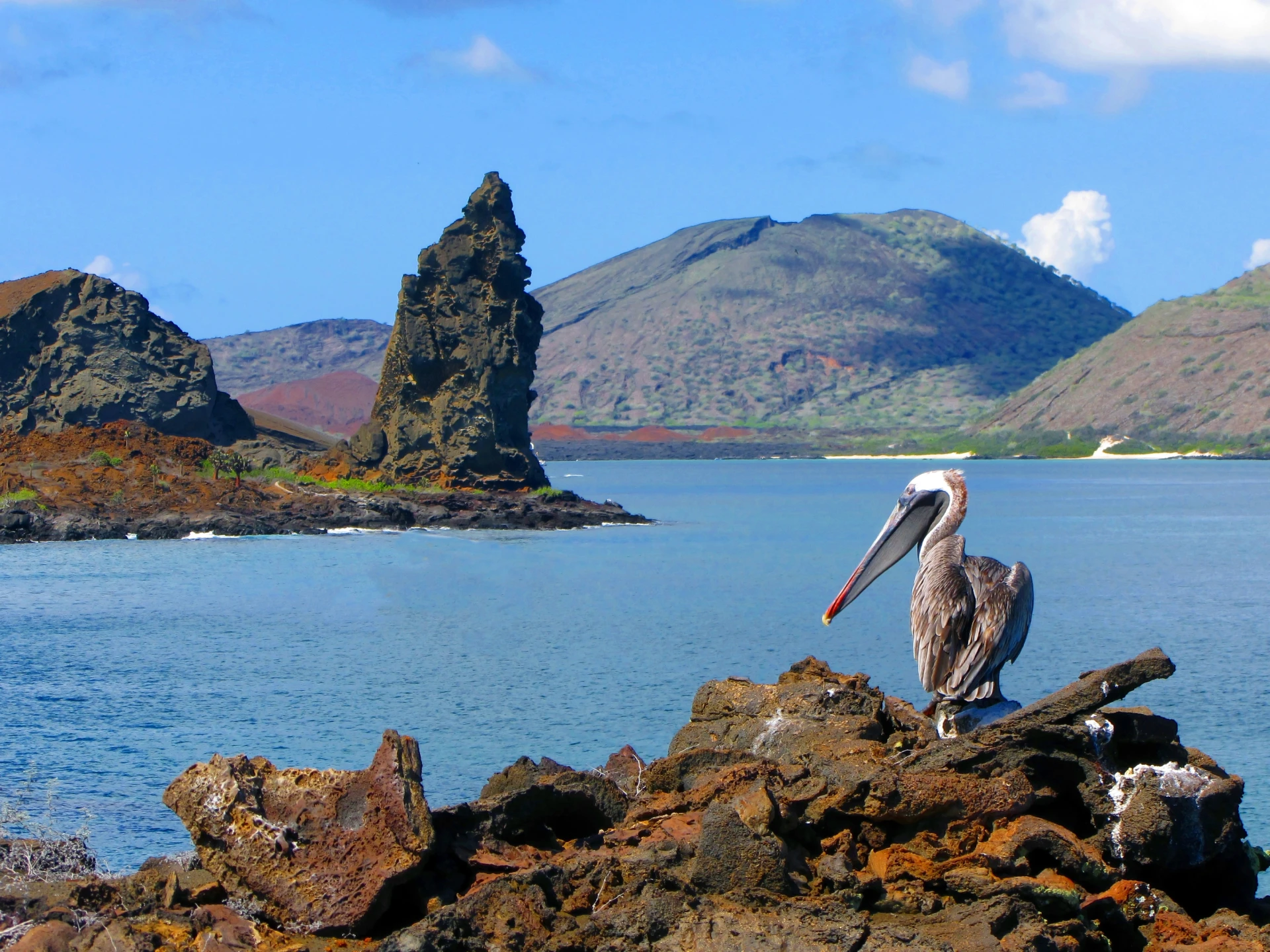 Bartolomé Island