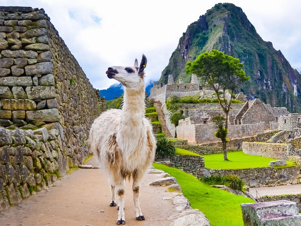 Inca Trail Peru Tour - Peru