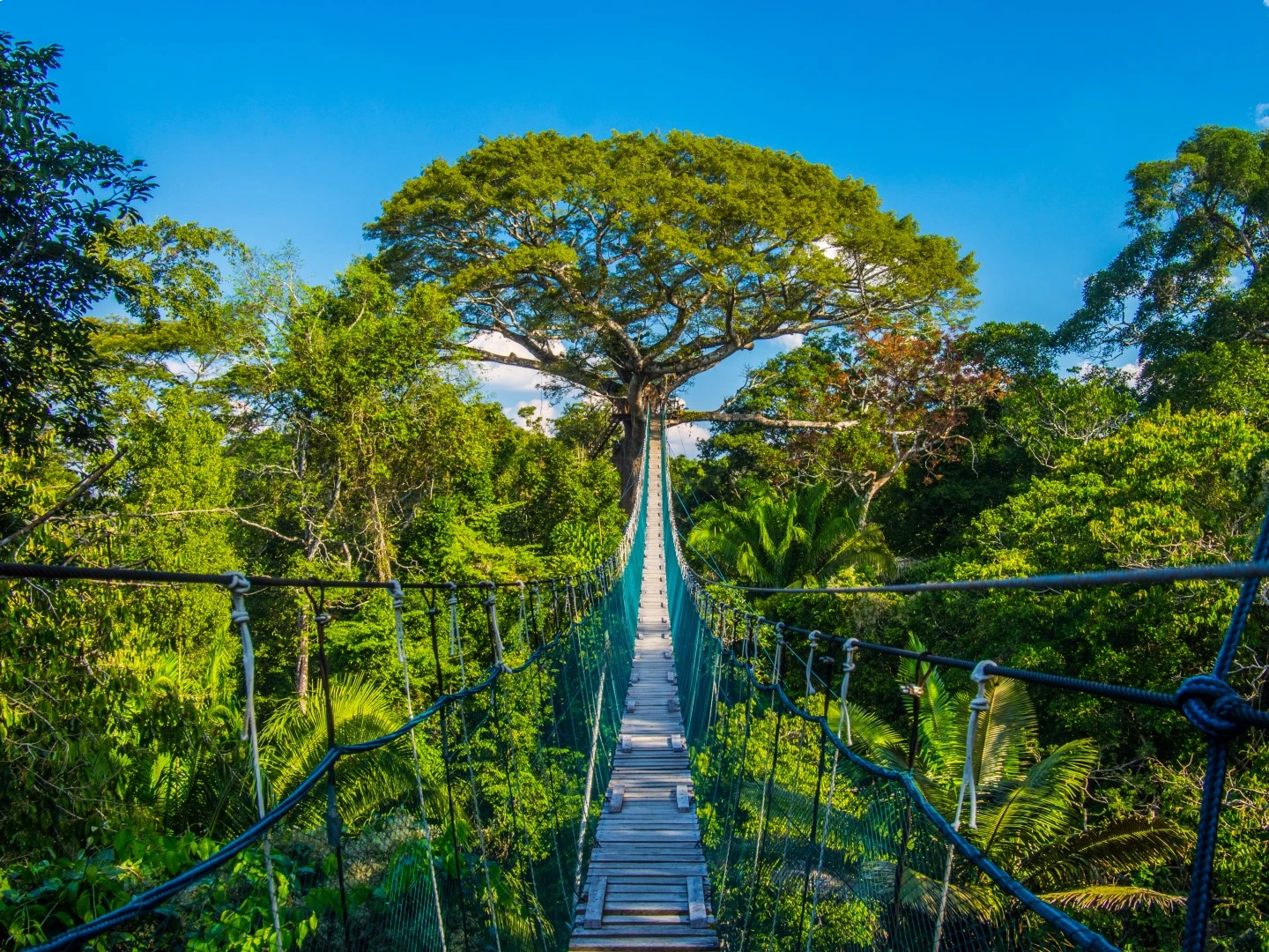 9 Days Peru’s Treasures:  Machu Picchu & Rainforest