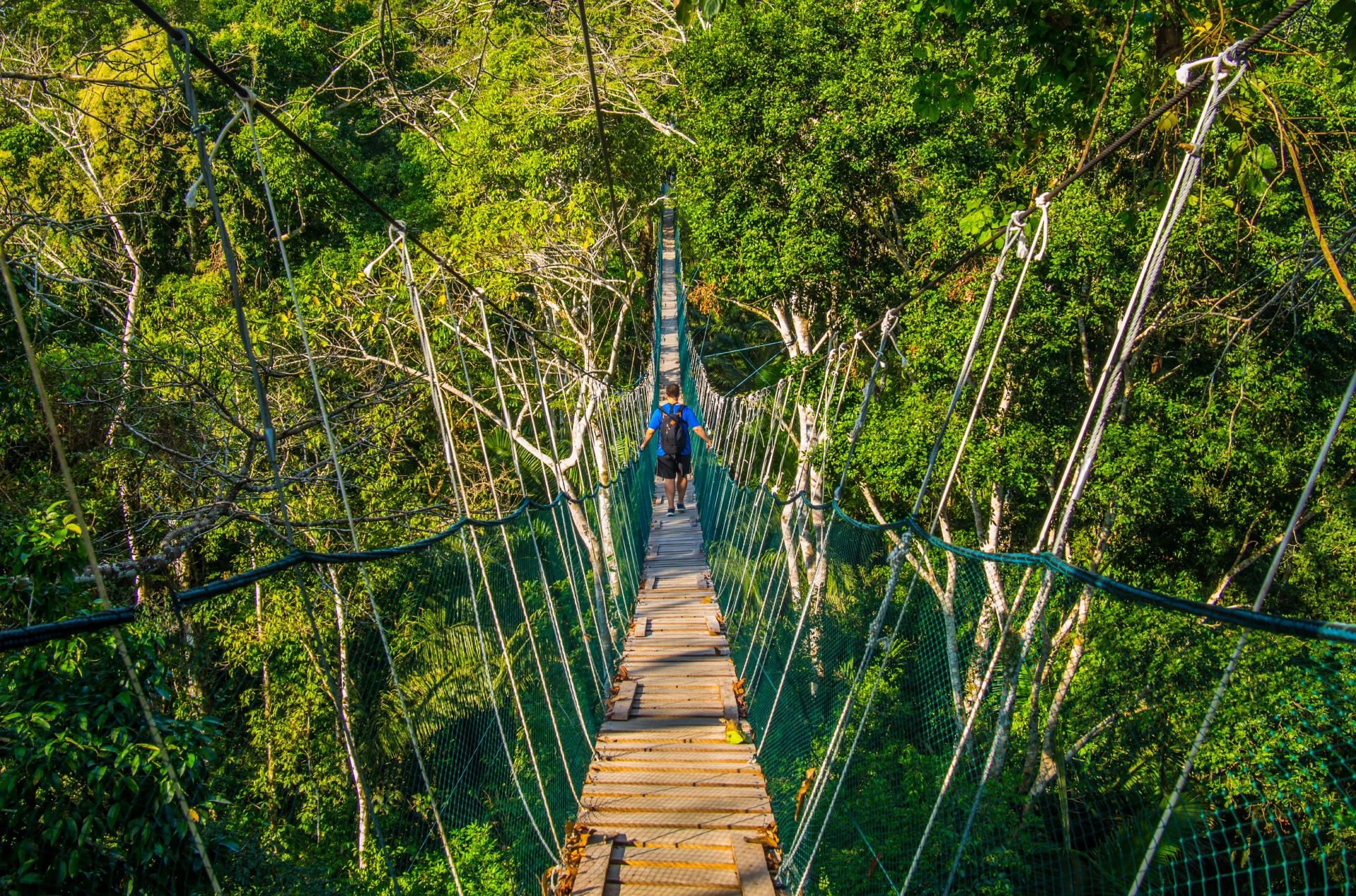 20-Day Adventure: Historical Cities and Nature's Wonders - Peru