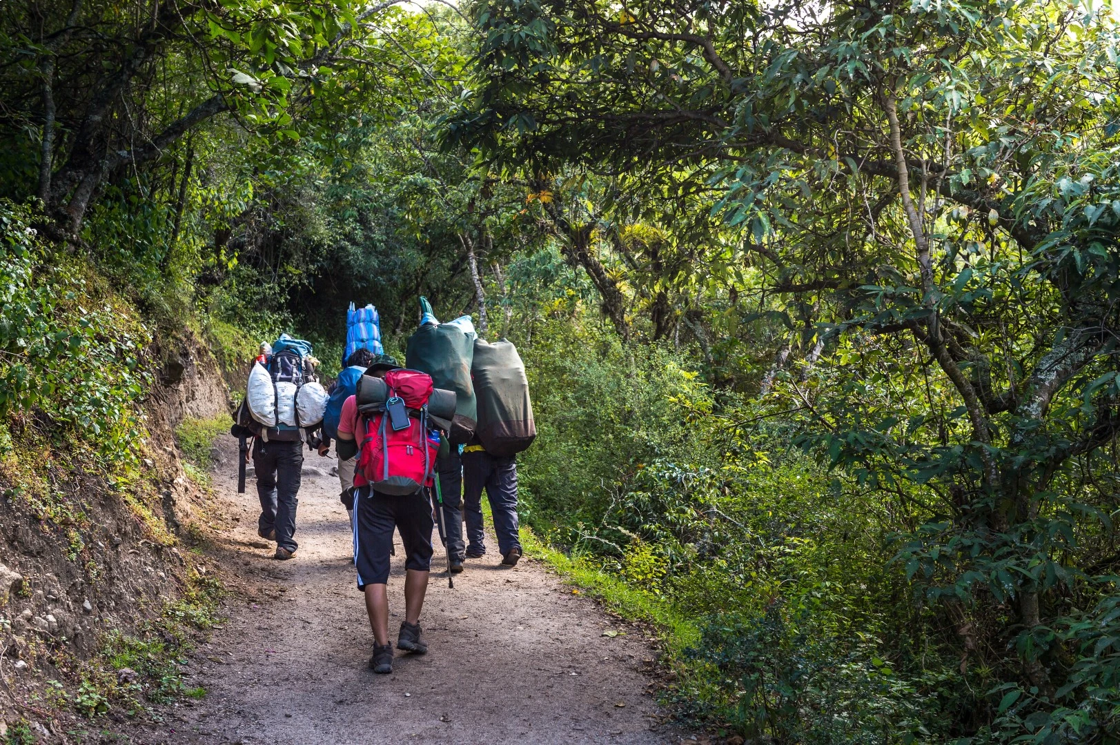 9 Days From Inca Ruins To The Rainforest