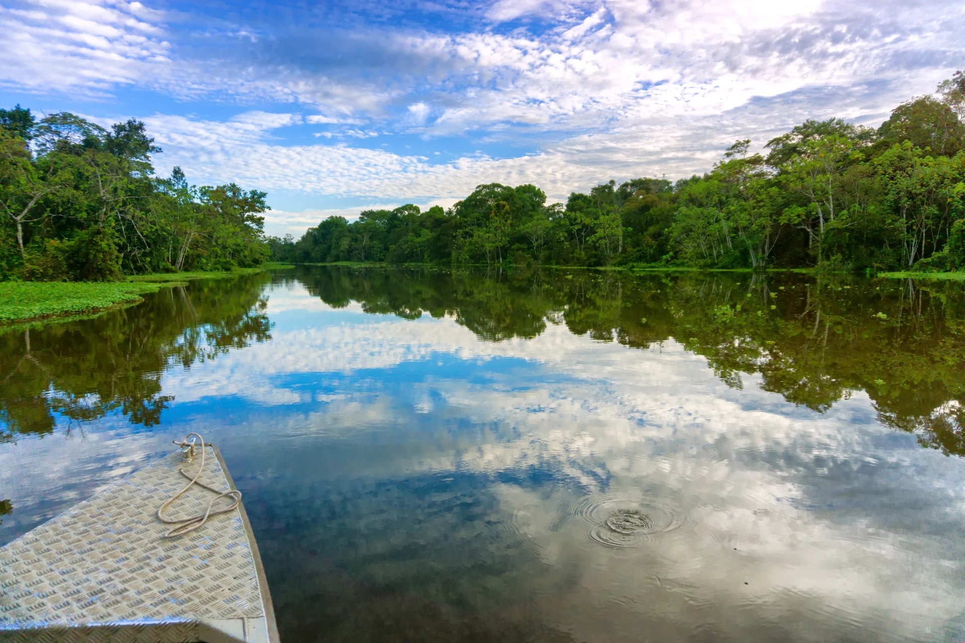 3 Days Amazon Jungle Adventure