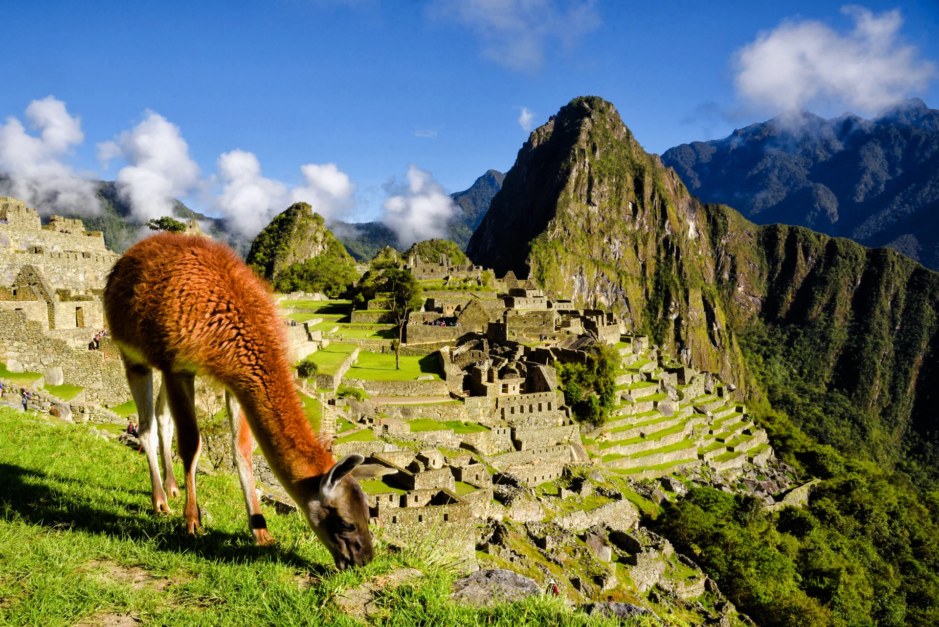 7 Days Journey Through The Peruvian Wonders