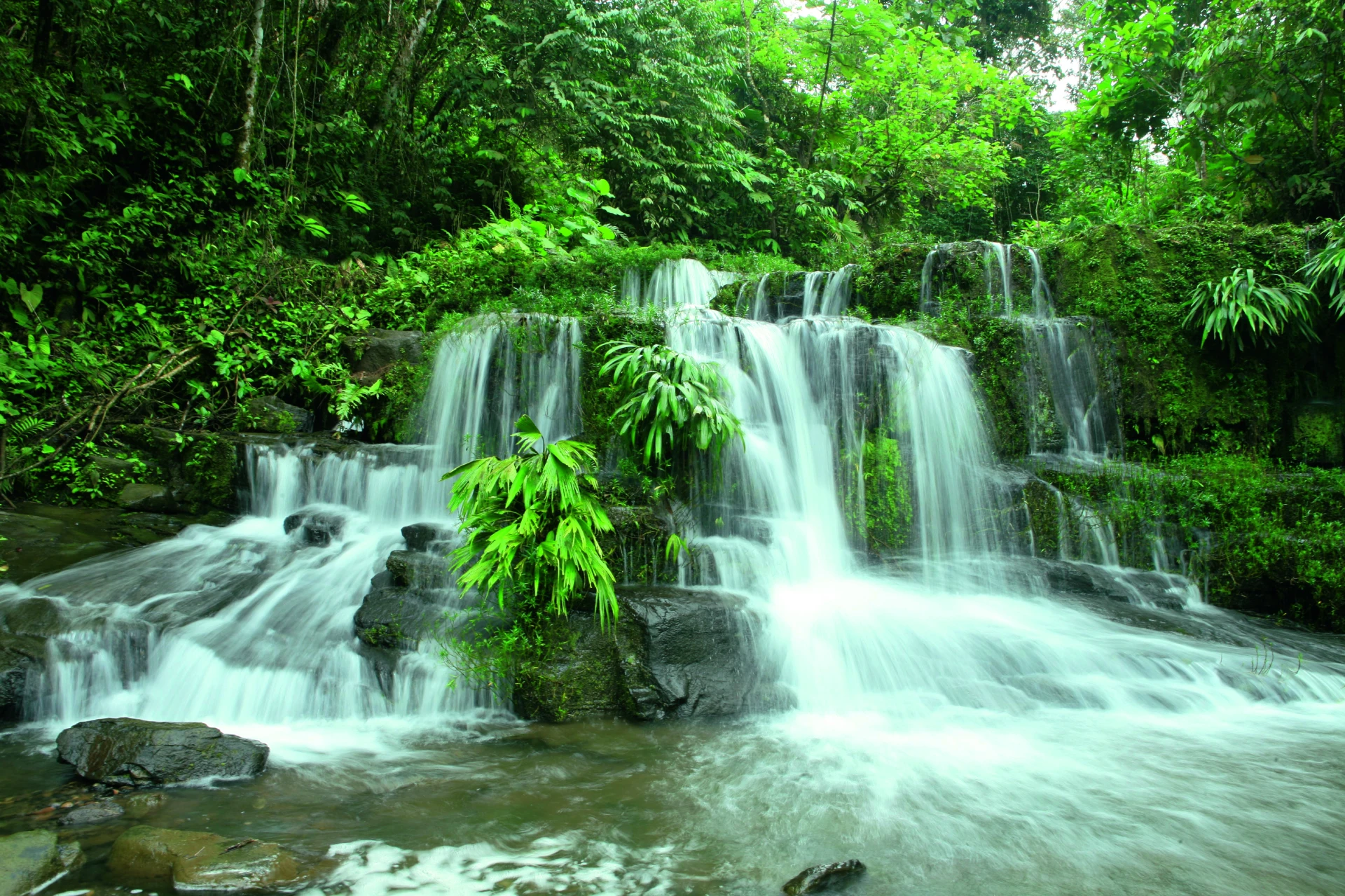 Archidona / Amazon High Jungle