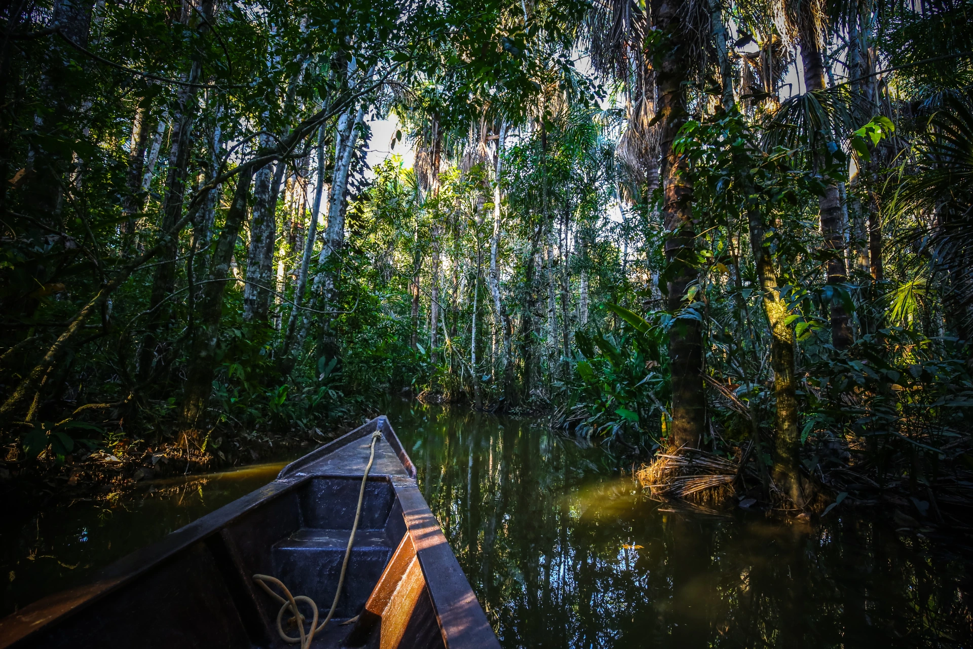 20-Day Adventure: Historical Cities and Nature's Wonders - Peru