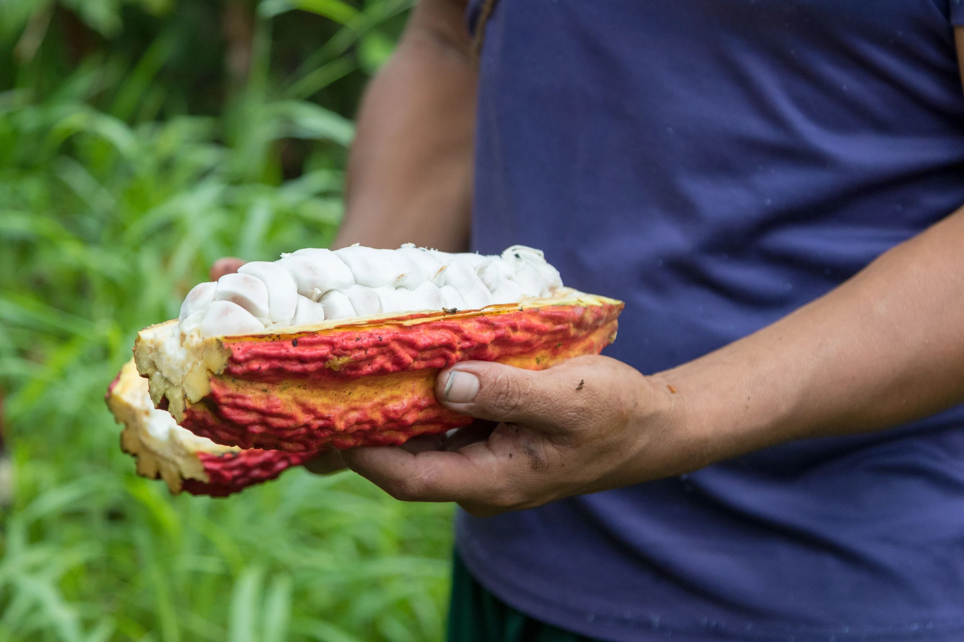 Culturas da Linha do Equador