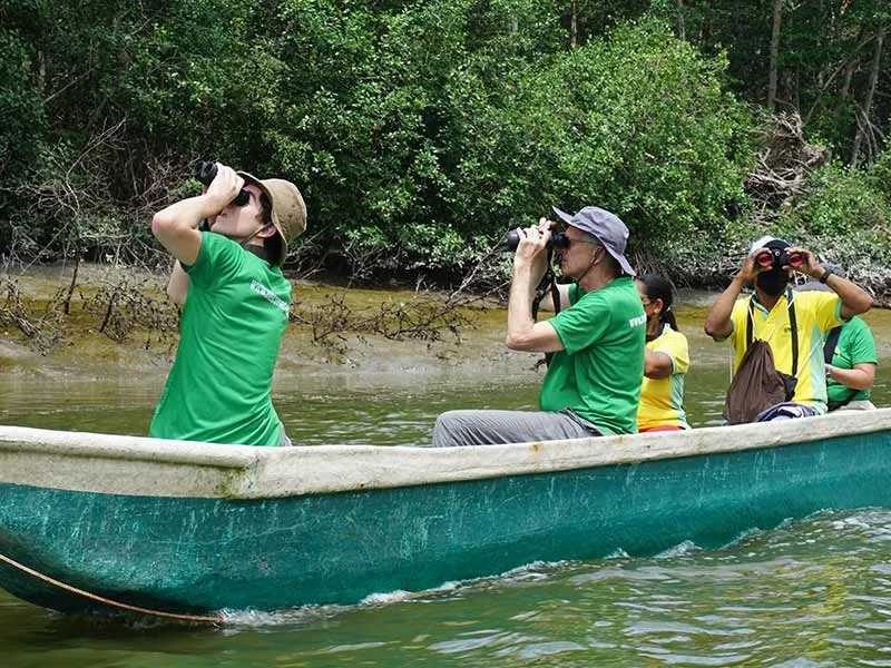 Churute Mangroves