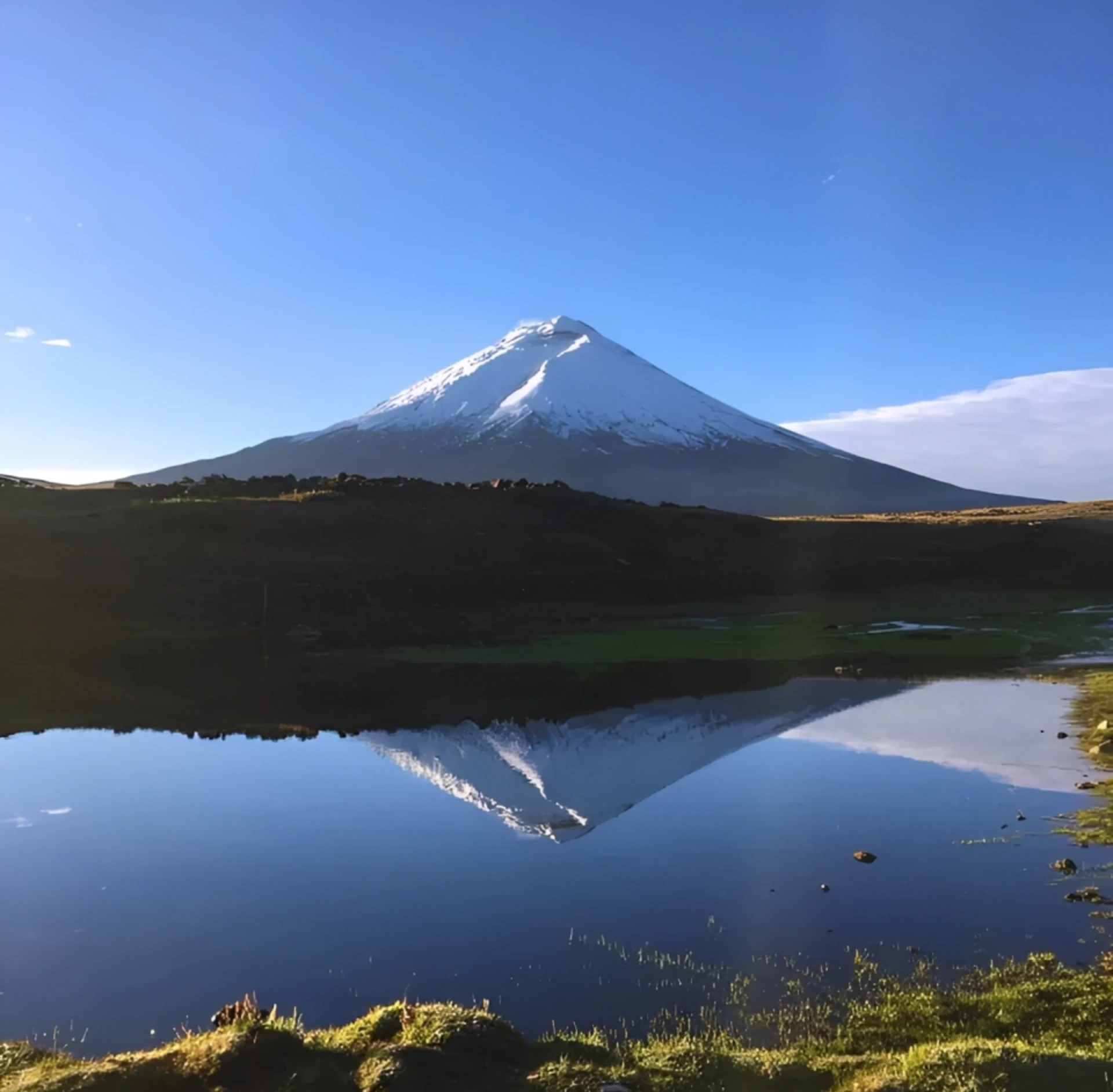 Día de excursión al Parque Nacional Cotopaxi