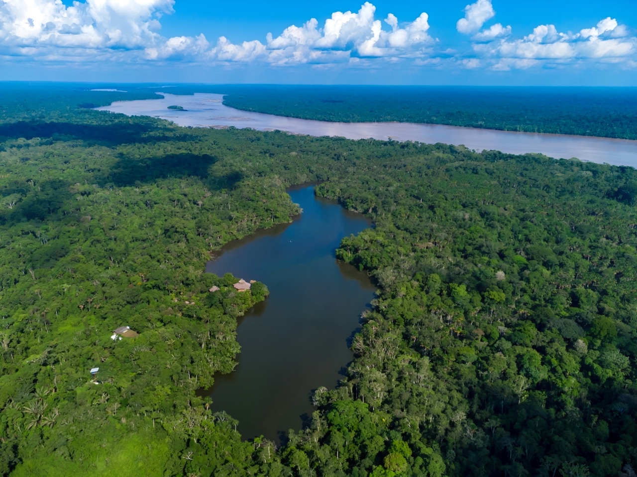 LGBTIQ+ Amazon Adventure - Ecuador
