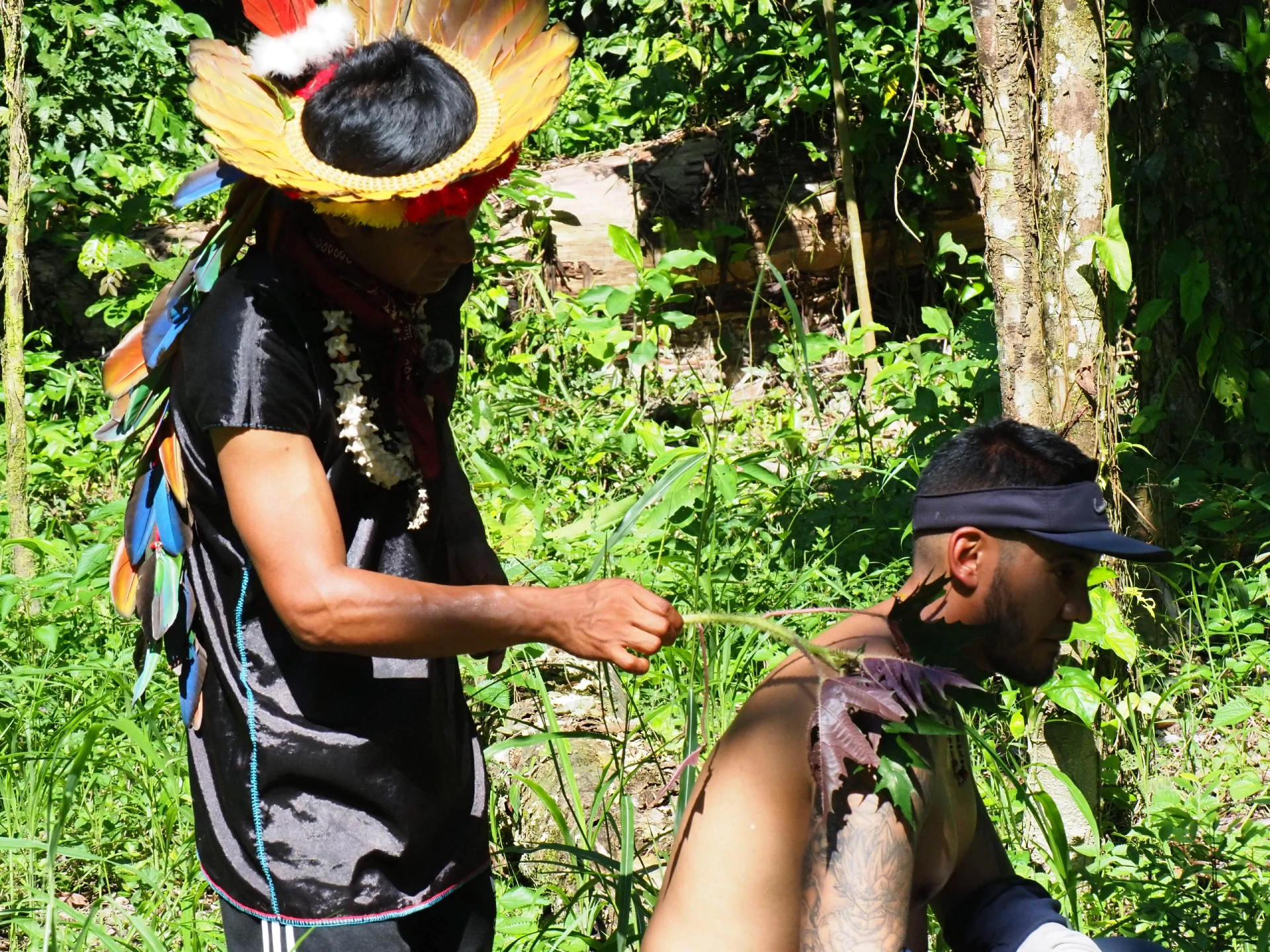 Cuyabeno waita lodge 5 Days +1