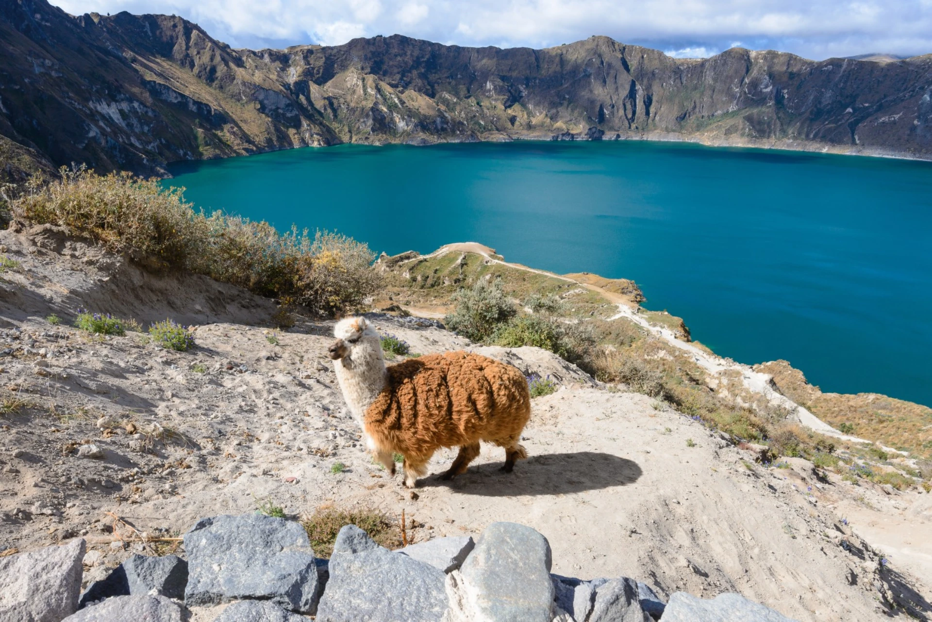 Ecuadorian Andean Highlights - Ecuador