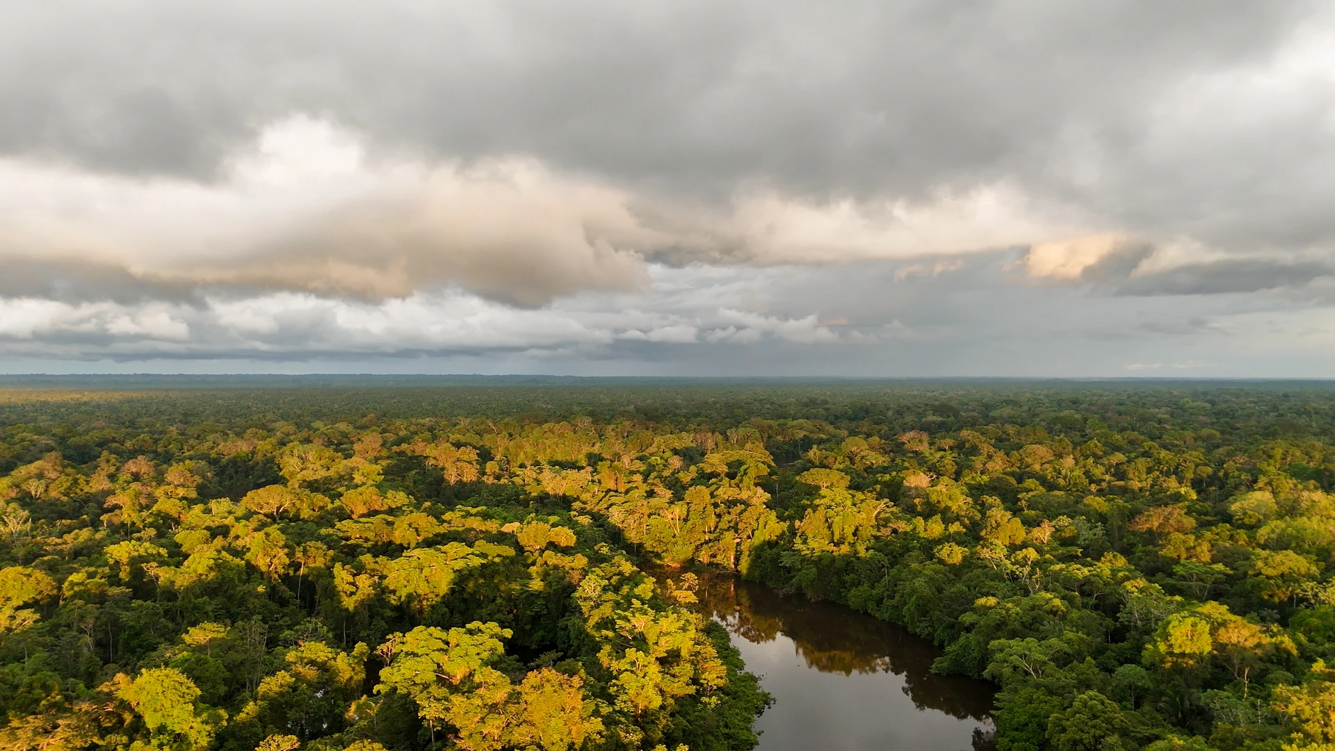Cuyabeno waita lodge 4 Days +1