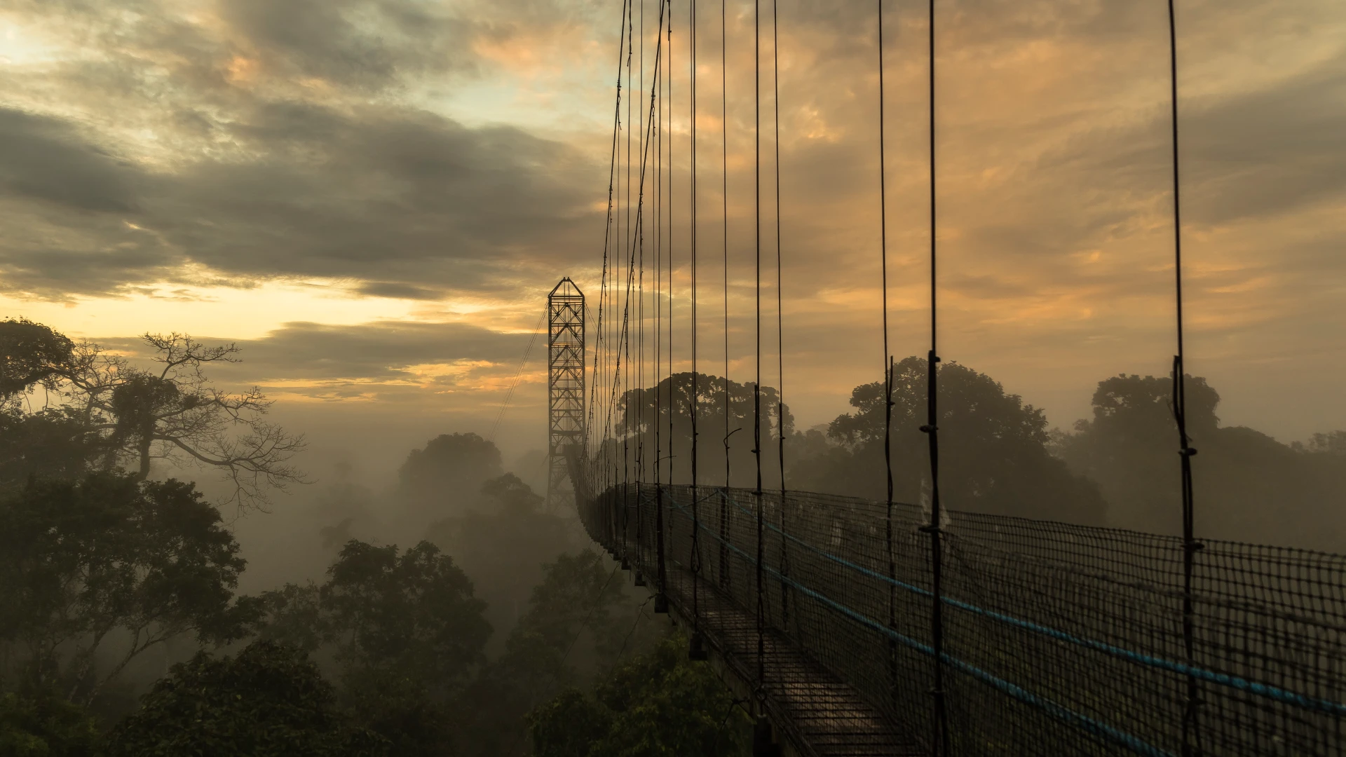 Sacha Lodge: Una experiencia en la selva amazónica