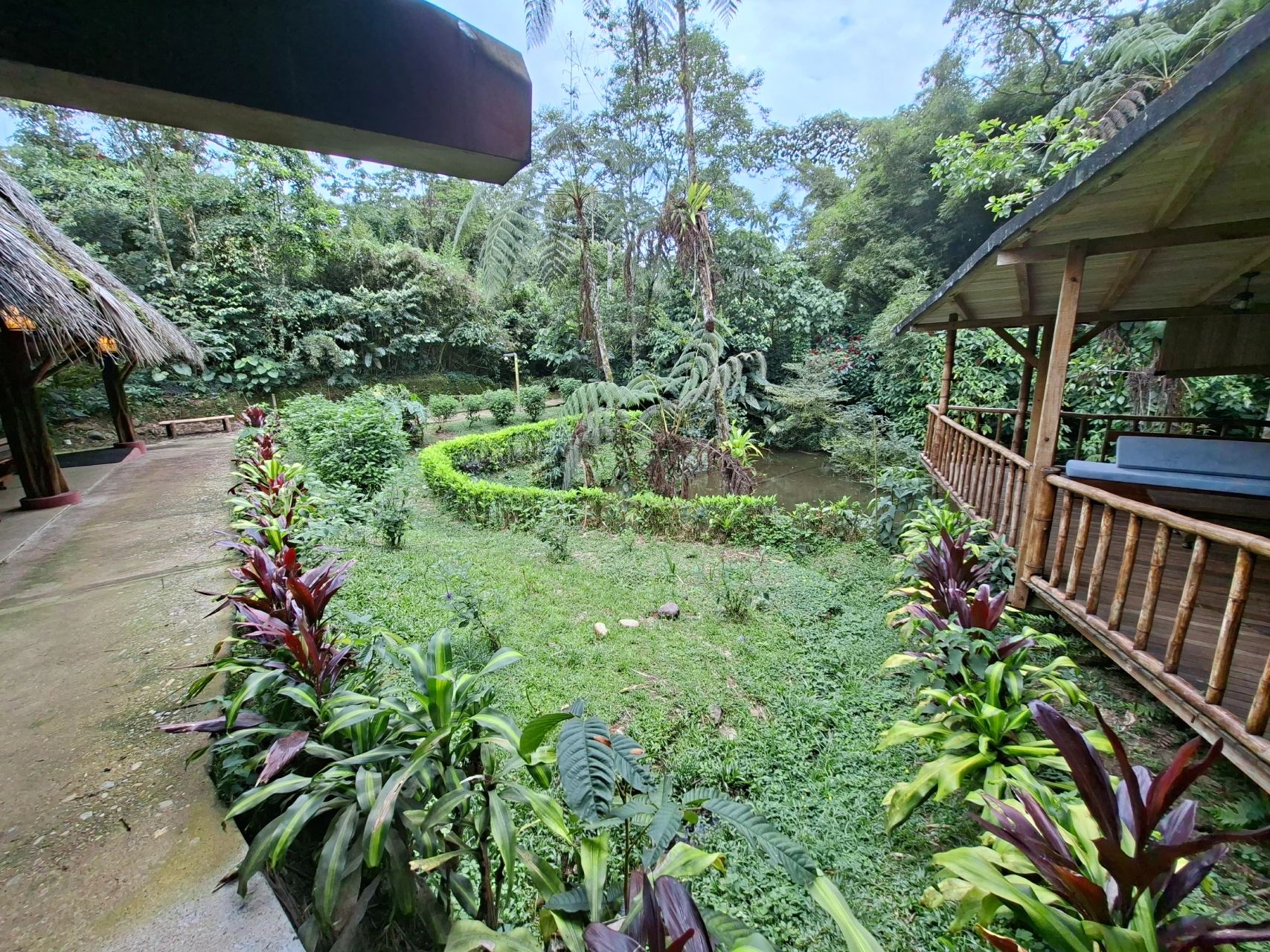 Tour Amazônia desde Quito em 4 Dias no Huasquila Lodge