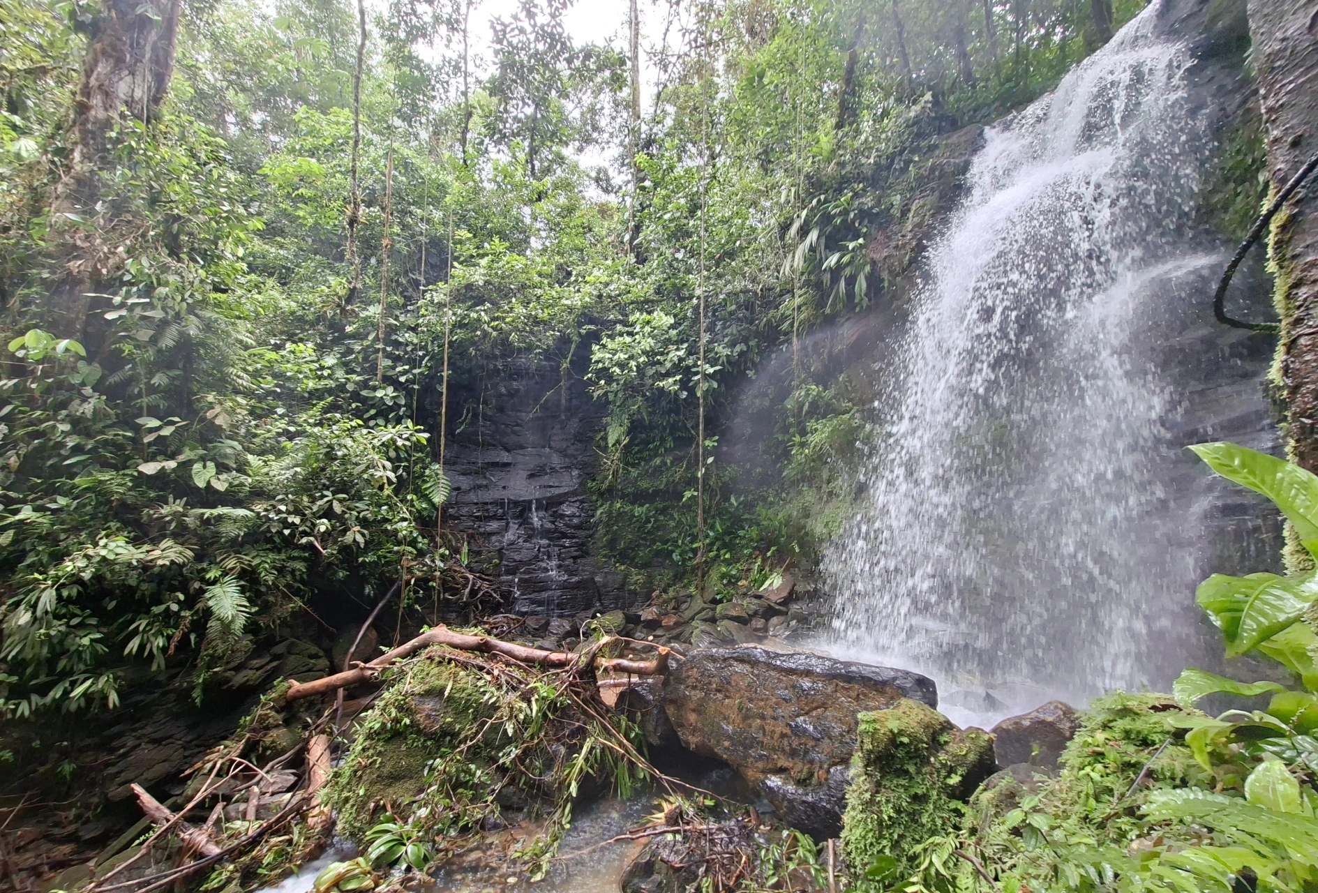 Tour Amazônia desde Quito em 4 Dias no Huasquila Lodge