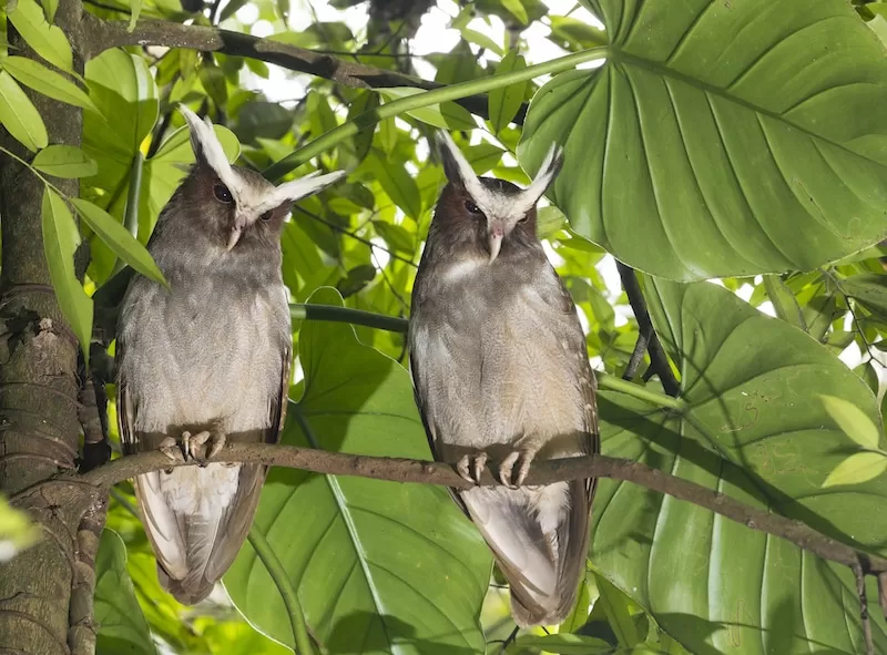 La Selva Eco Lodge e Retiro