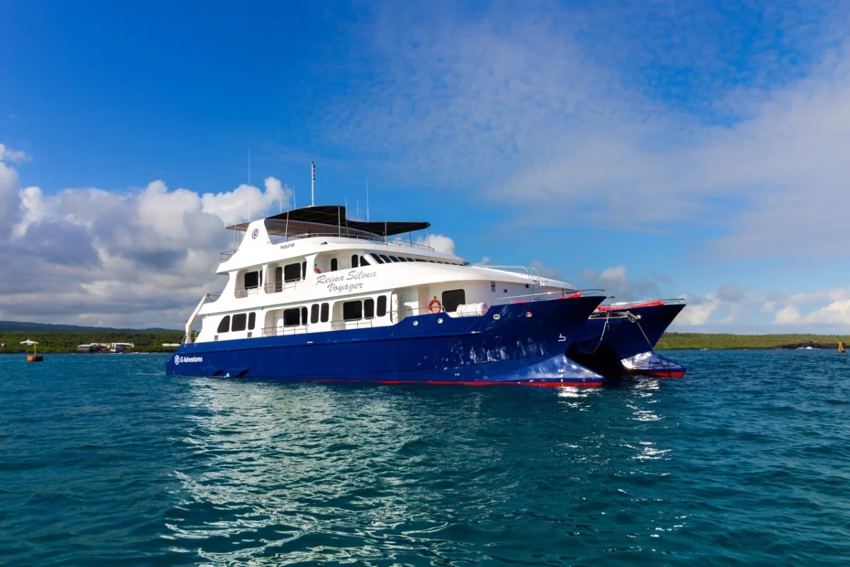 Reina Silvia Catamarán
