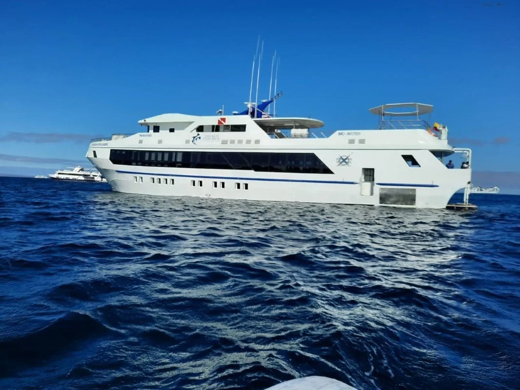 Tiburon Explorer Motor Vessel
