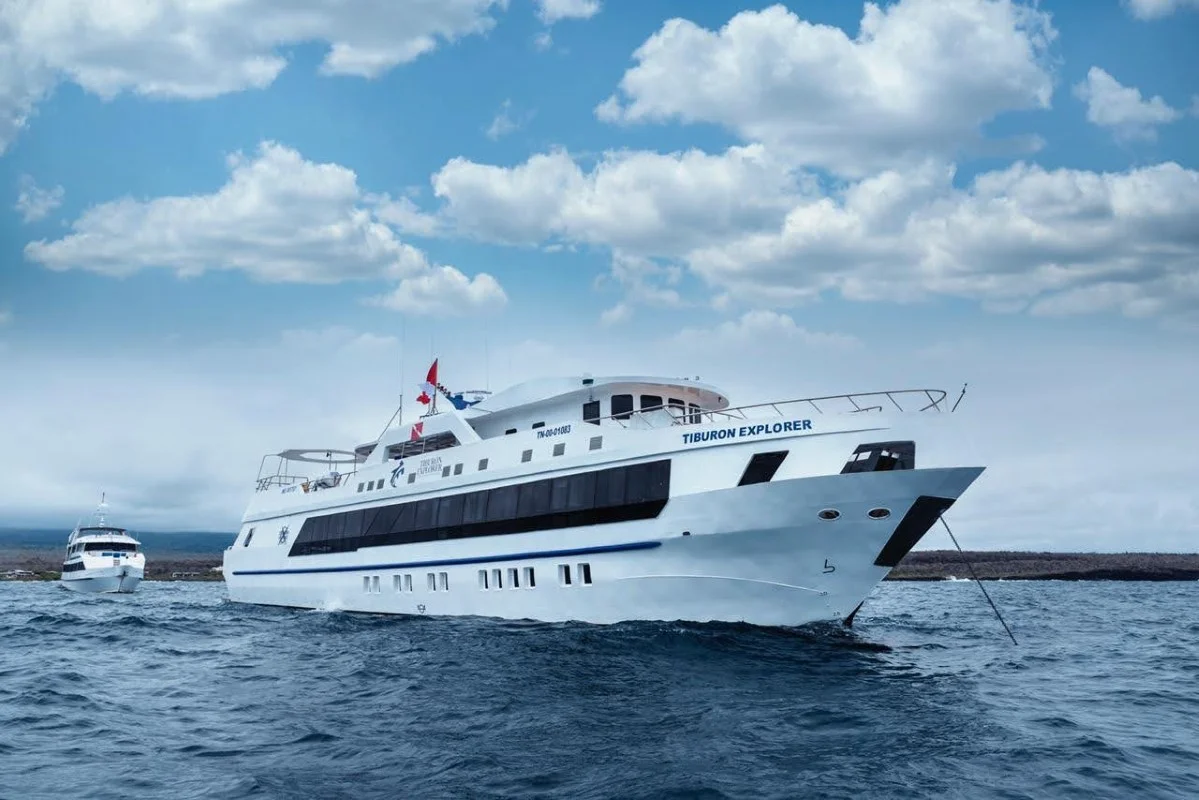 Tiburon Explorer Motor Vessel