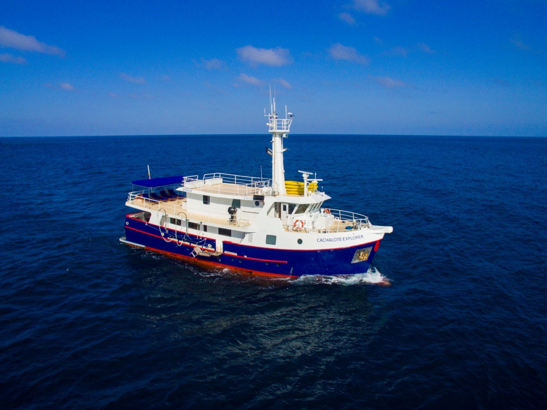 Cachalote Yacht