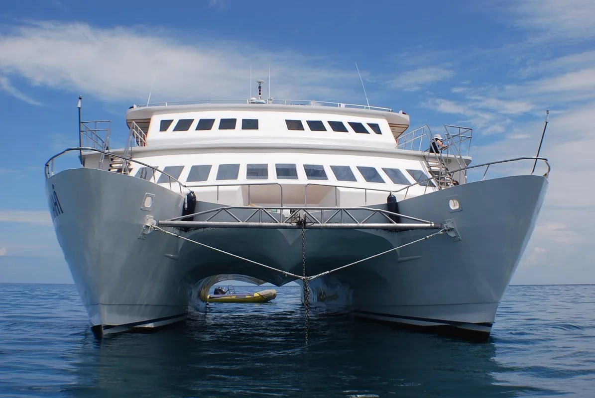 Catamaran Anahí