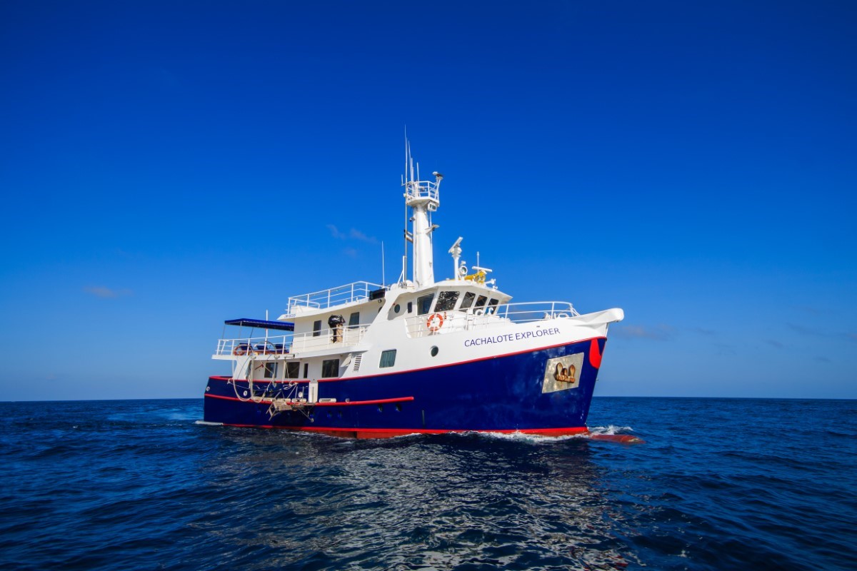 Cachalote Yacht
