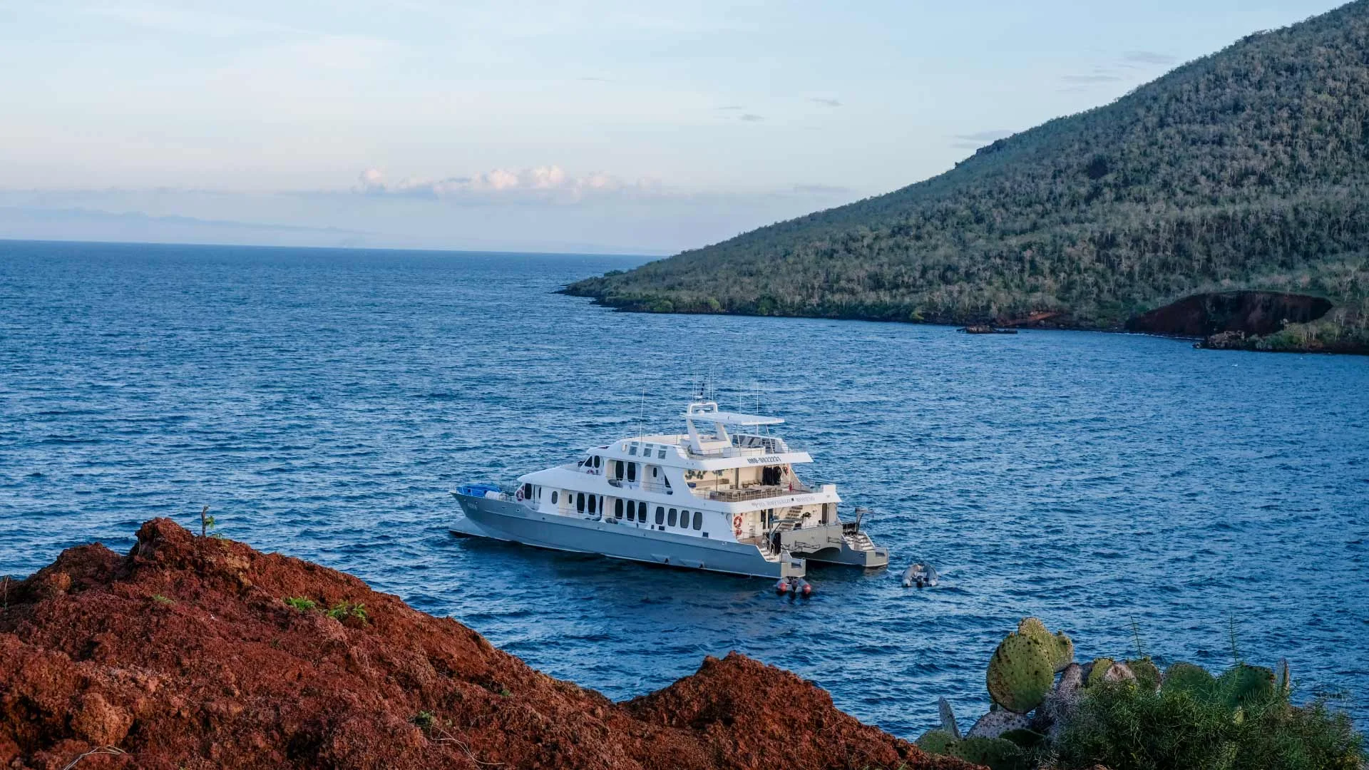 Catamaran Alya