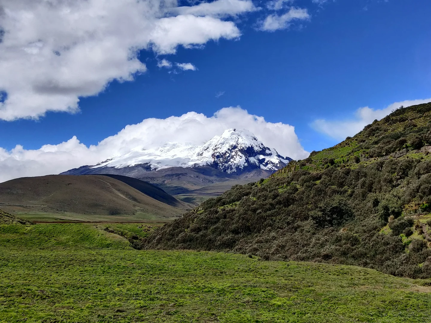 Antisana Volcano above the páramo of the Ecuadorian Andes
