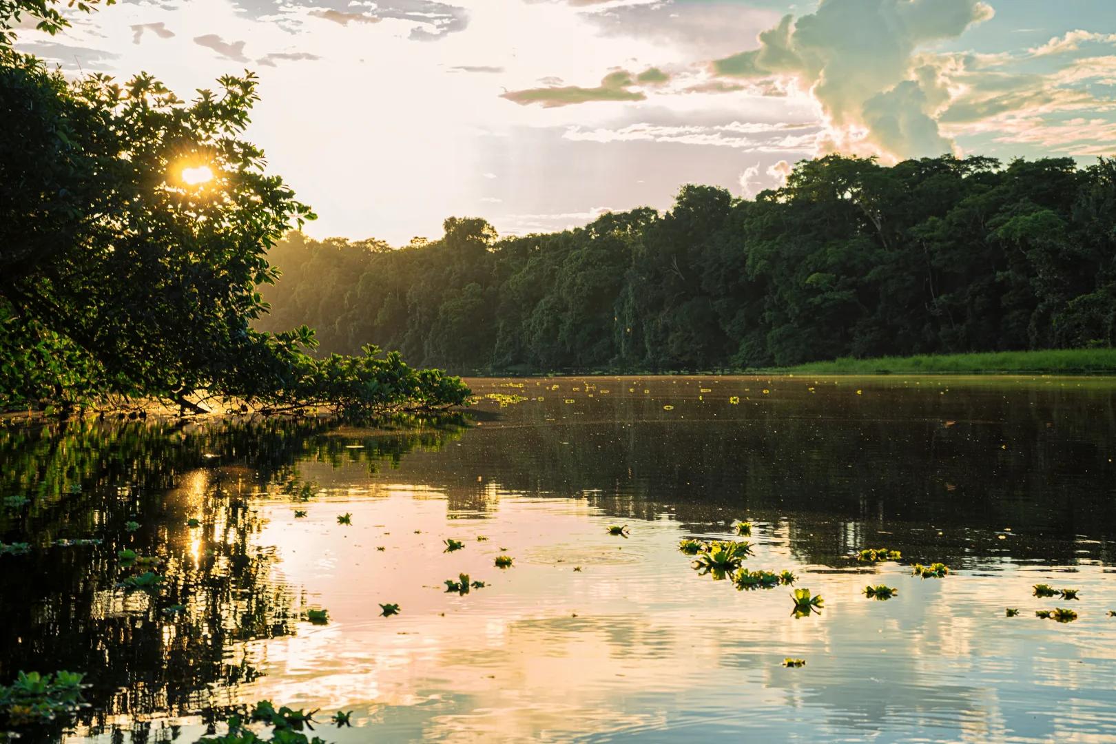 Shamans in Ecuador: Journey into the Heart of Amazonian Wisdom