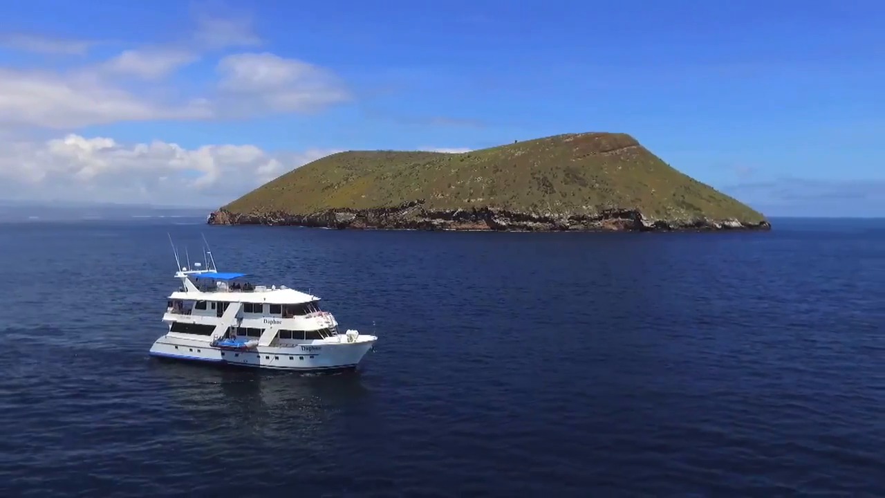 Grand Daphne Yacht