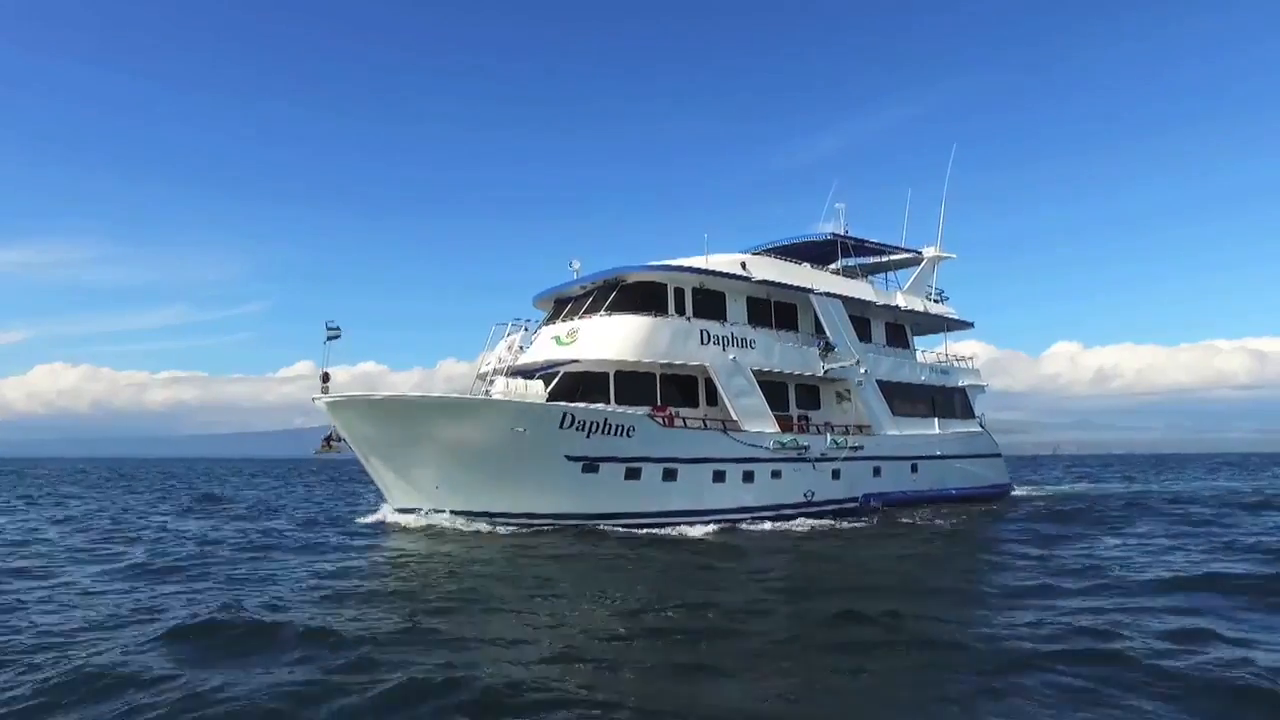 Grand Daphne Yacht