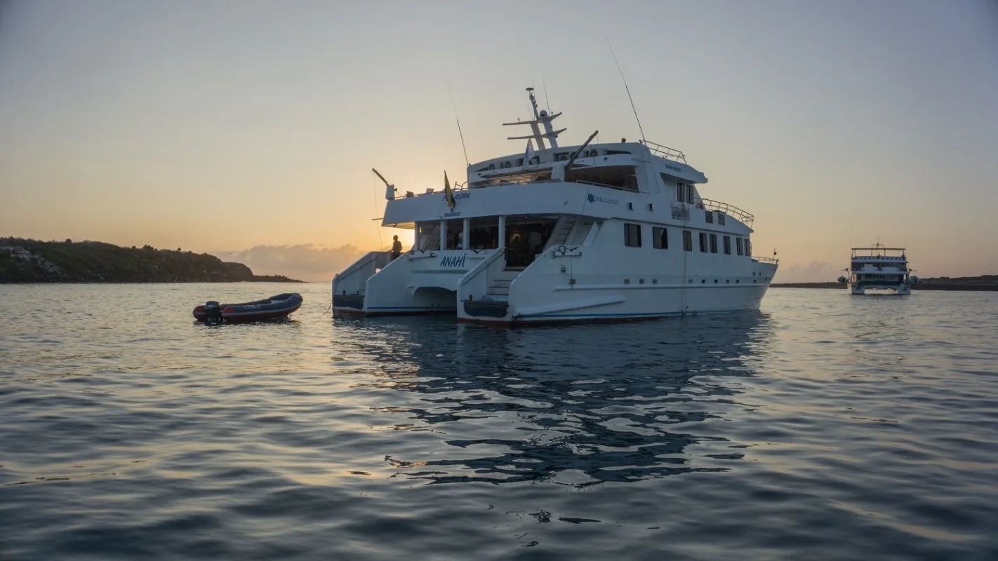 Catamaran Anahí