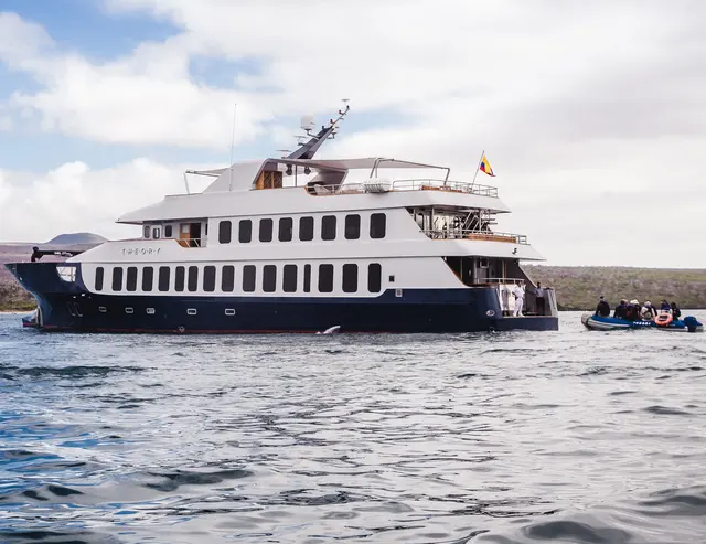 Origin Theory & Envolve Yacht